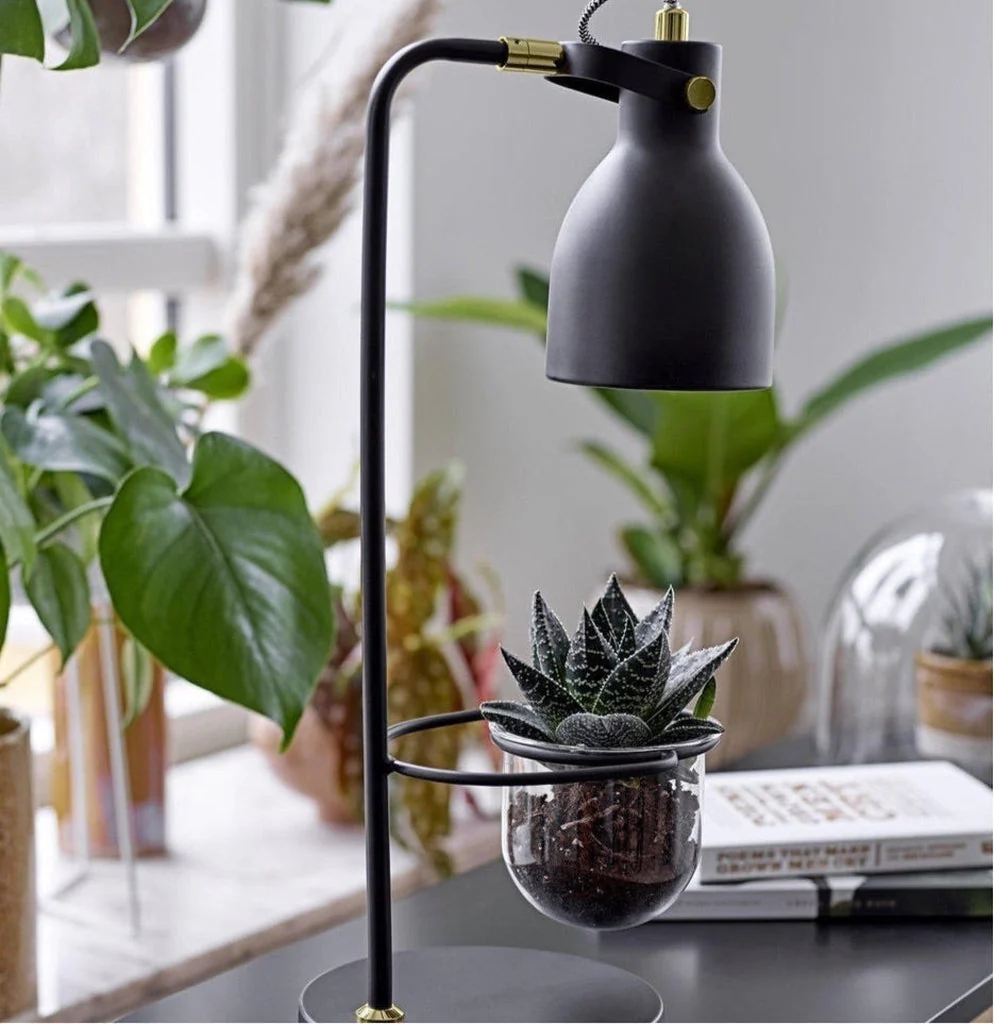 Bloomingville Flora Black Lamp & Planter - Image 3