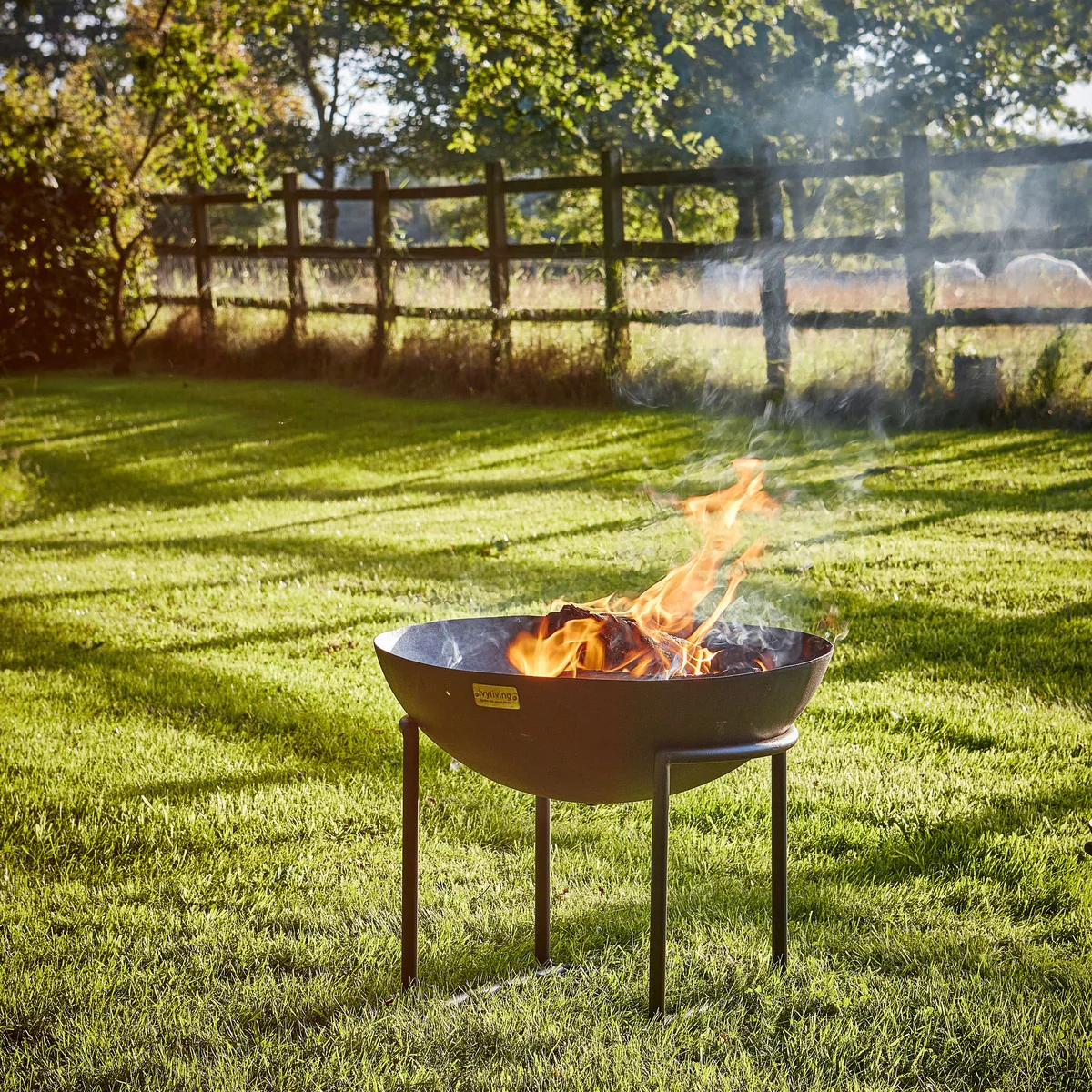 Ivyline Outdoor Cast Iron Fire Pit on Stand - Image 4