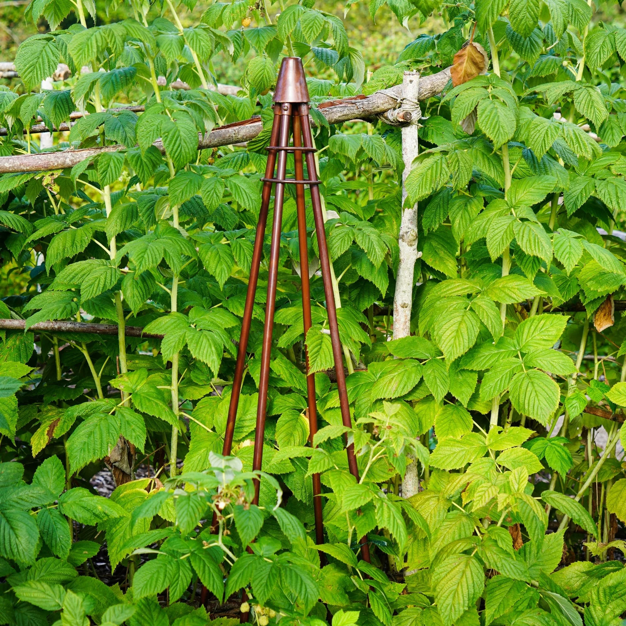 Ivyline Outdoor Climber Tripod - Image 9