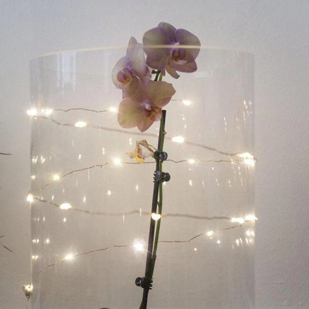 Kikkerland White Silver Micro Fairy Lights - Image 3